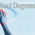 soul degrees