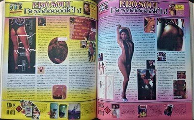 The Best Of Erotic Jacket : FUNK OF AGES