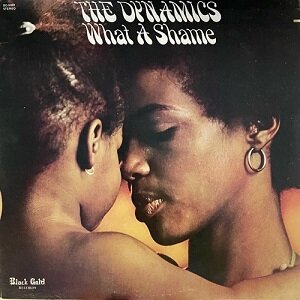 洋楽 The Dynamics - What A Shame The Dynamics – What A Shame – Vinyl (LP, Album), 1973