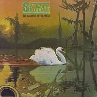 The Hardness Of The World / Slave : FUNK OF AGES