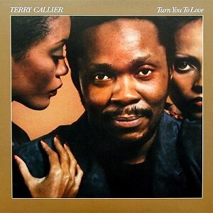 TERRY CALLIER/LIFETIME/アナログLPレコード/UK盤 Terry Callier / Lifetime - Guitar Records