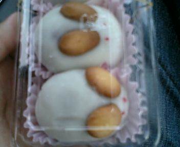 羽生市産業文化ホール 波のリズムにのって