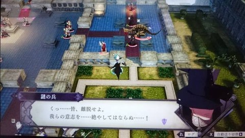 images (12)