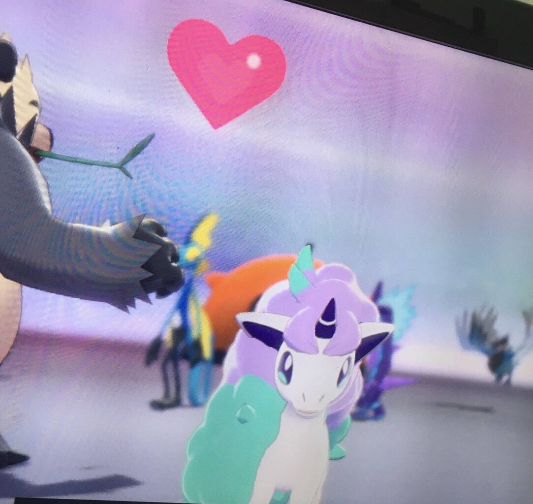 ポケモン ワイ 遂にポニータちゃんをゲットする ポケモンまとめ速報 ポケモンユナイト攻略