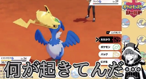 悲報 ポケモン新作 ピカチュウを投げつける技が存在 ポケモンまとめ速報 ポケモンユナイト攻略 記事コメント 1