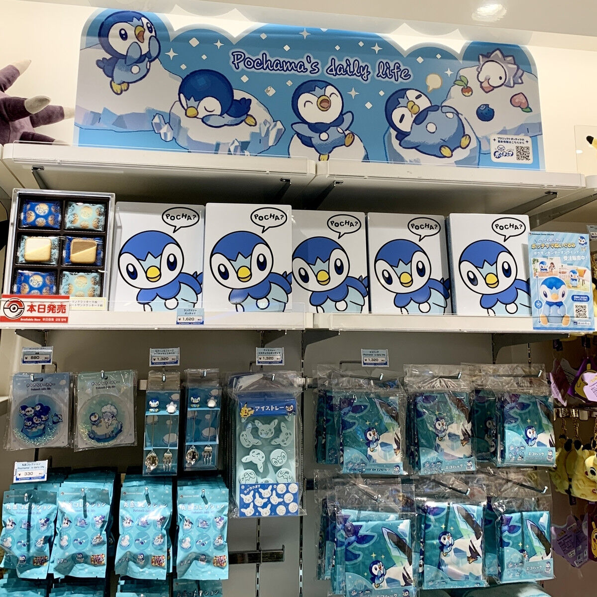 速報 ポケモン公式さん ここに来てポッチャマを押し始めるｗｗｗ ポケモンまとめ速報 レジェンズ アルセウス攻略