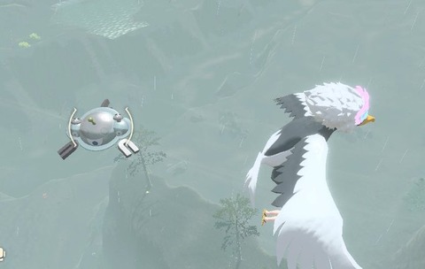 ポケモンアルセウス コイルとジバコイルは時空の歪み限定なのになんでジバコイルは普通に天冠の山麓でぷかぷか浮かんでるんだ ポケモンまとめ速報 レジェンズ アルセウス攻略