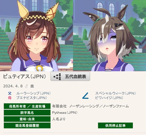 fu6523379