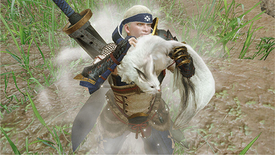 Mhrise 可愛い環境生物 モンハンまとめ速報 モンハンライズ攻略 Mhrise 可愛い環境生物 モンハンまとめ速報 モンハンライズ攻略