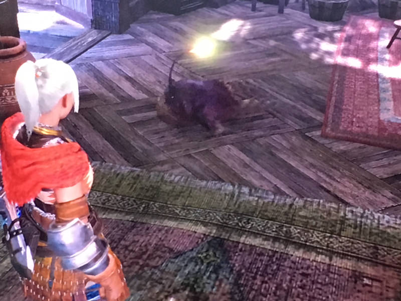 Mhw ハンター ちっちゃいチャナガブル獲れた モンハンまとめ速報 モンハンライズ攻略 Mhw ハンター ちっちゃいチャナガブル獲れた モンハンまとめ速報 モンハンライズ攻略