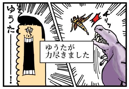 images (36)