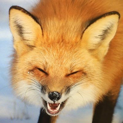 フォックスの復帰が強いってま ヤバすぎだろ スマブラsp クッパch スマブラspまとめ速報 フォックスの復帰が強いってま ヤバすぎだろ スマブラsp クッパch スマブラspまとめ速報