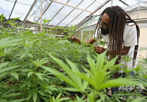 img_be01b78195f7599ece2636cb5b74568d299848