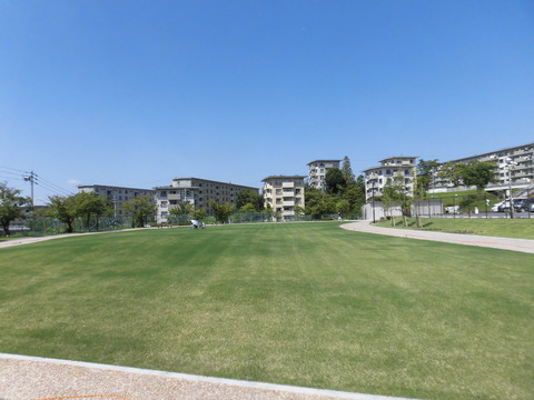 芝生広場オープン1