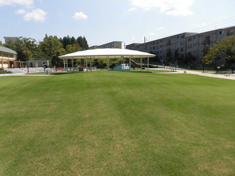 芝生広場オープン2