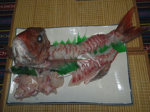 鯛写真
