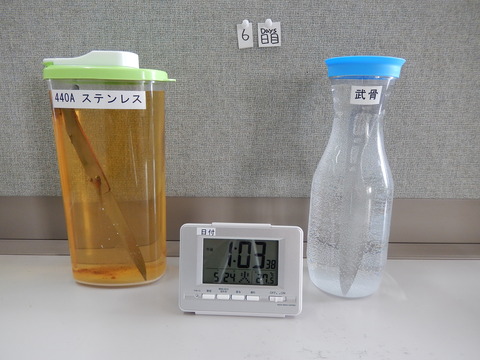 6日目
