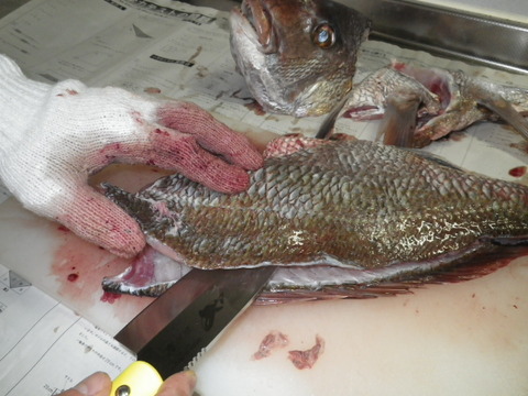 20120419⑦