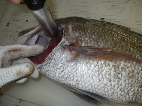 20120419④