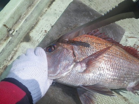 捌きレポート139⑭