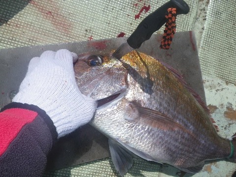 捌きレポート139⑪