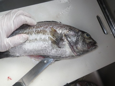 135⑥