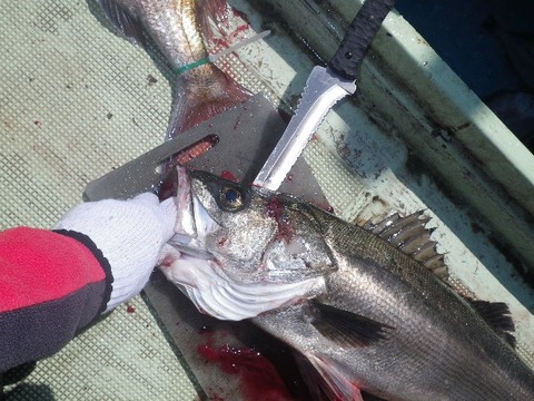 捌きレポート139⑱