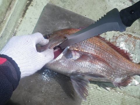 捌きレポート139⑮