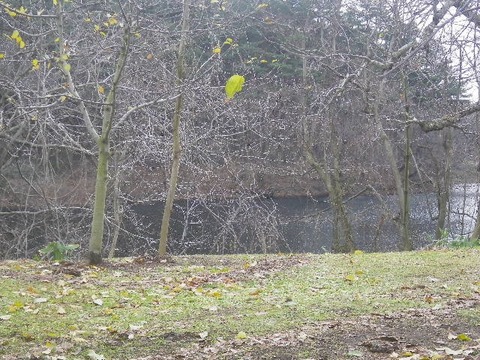 20211210⑤