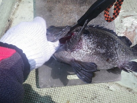 捌きレポート139⑨