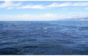 20110827④