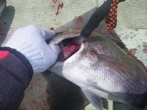 捌きレポート139⑫