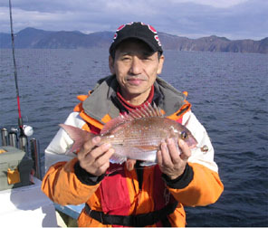20101120①
