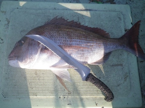 捌きレポート139⑬