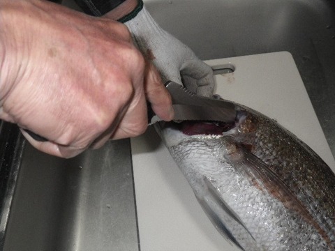 捌きレポート139⑳