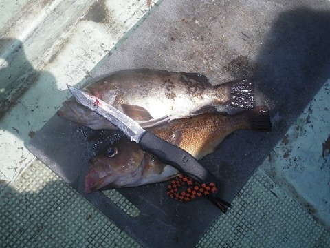 捌きレポート139⑩