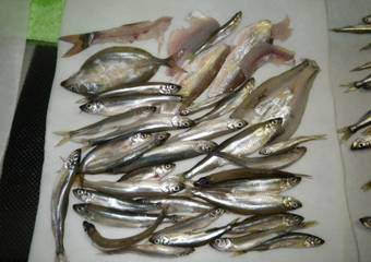 20120303⑬