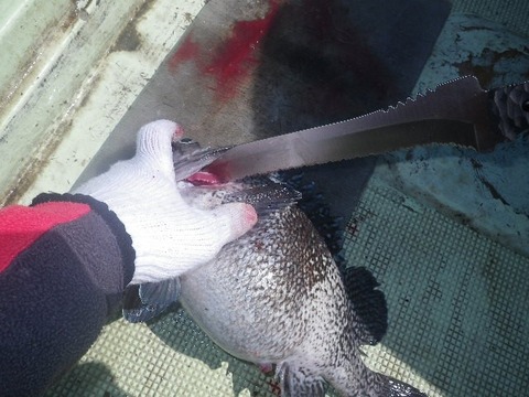 捌きレポート139⑰