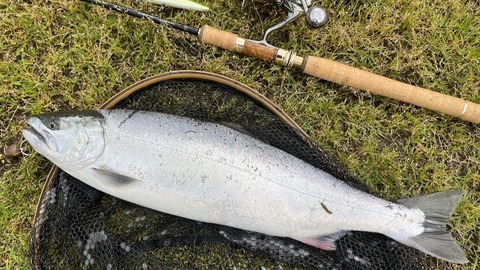 釣行8③