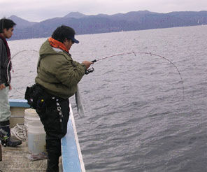 20101120⑫