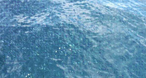 20110827⑤