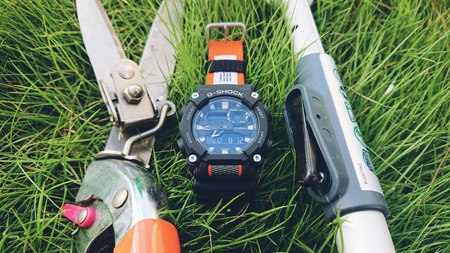 Polish_20200812_074505705