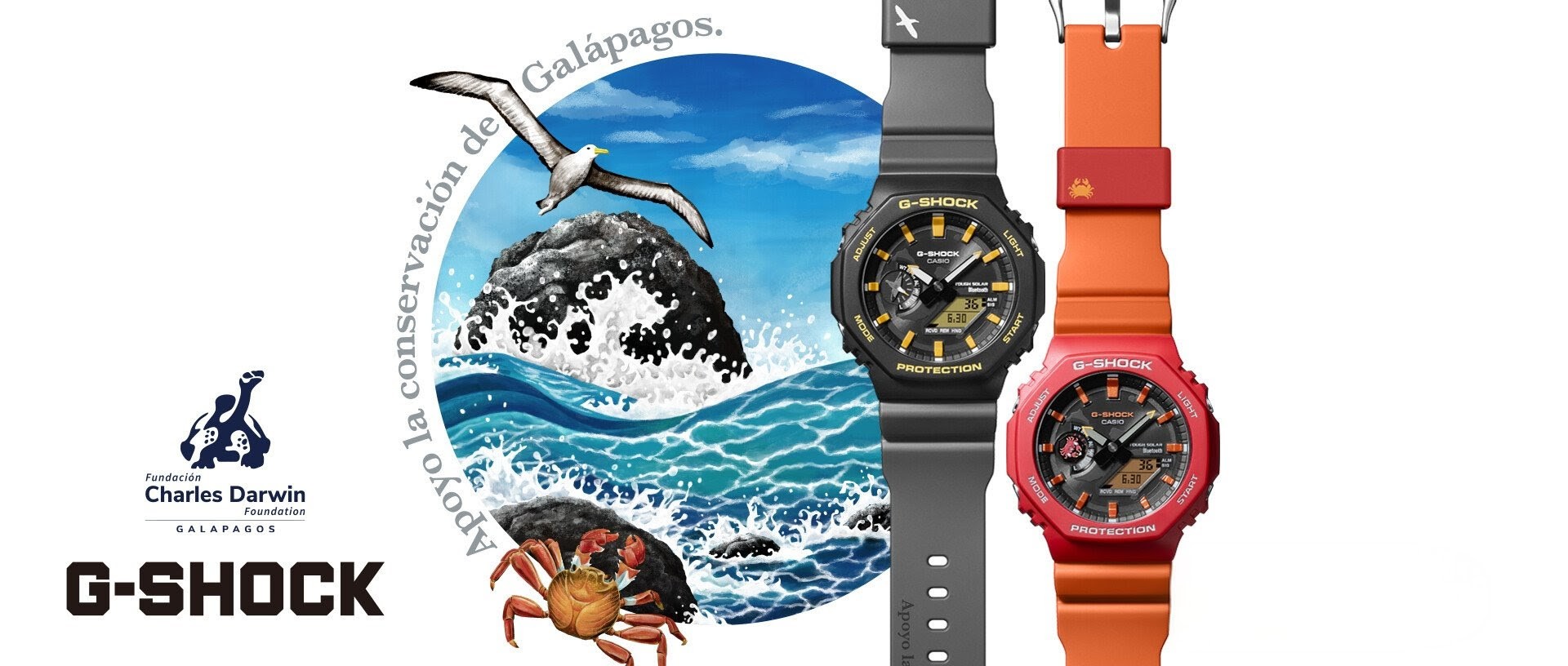 11月新作！チャールズ・ダーウィン財団コラボ新作！モチーフは