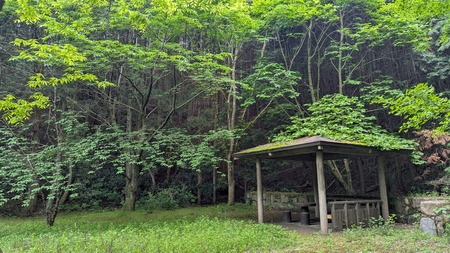 PXL_20260503_024946506