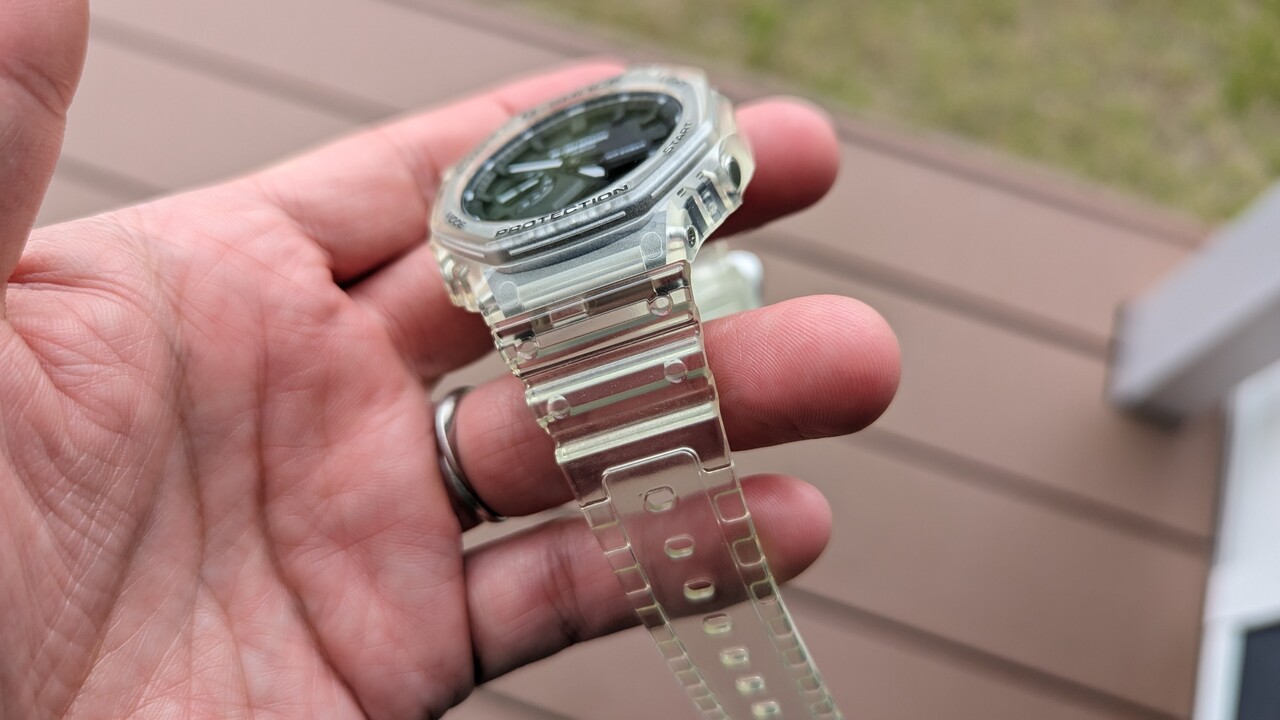 ハイイエローシミなしダトニオリアルバンド40cm前後