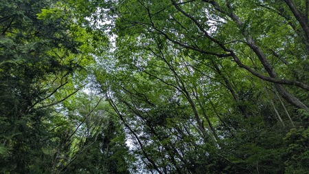 PXL_20260503_015204776