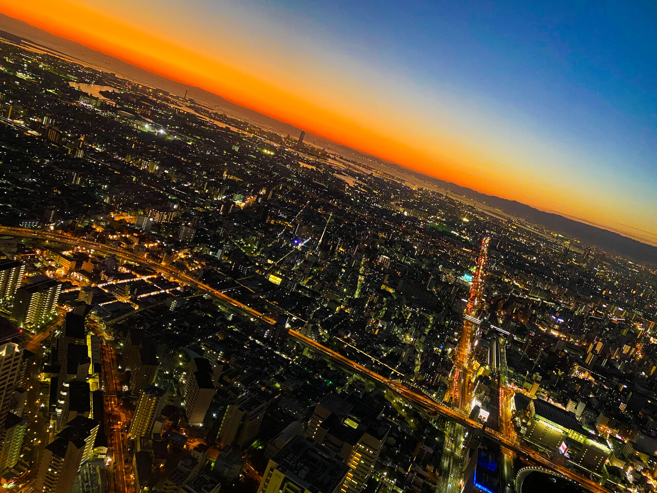 11月大阪ヘチ釣り キャッチ つるつる宮古島