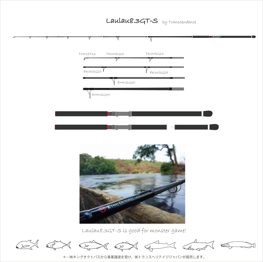 買わないはずのGTロッドまたゲット : つるつる宮古島