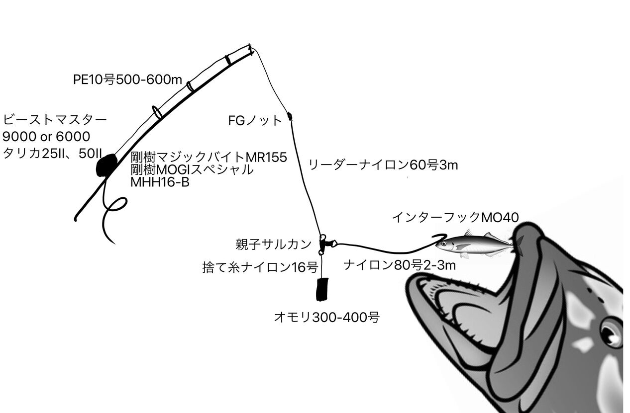 巨大カンナギを 21 スタンディング タックル ラインシステム つるつる宮古島