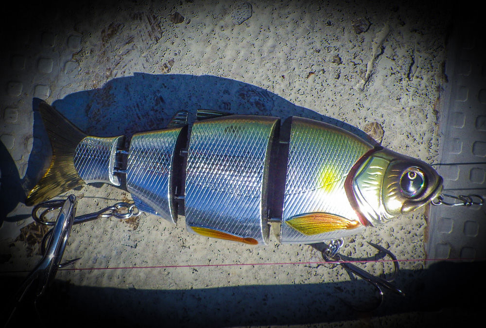 Shad Aliveを海に投げてみた つるつる宮古島 Shad Aliveを海に投げてみた つるつる宮古島